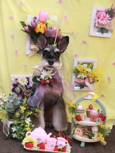 20230326ニーナちゃん